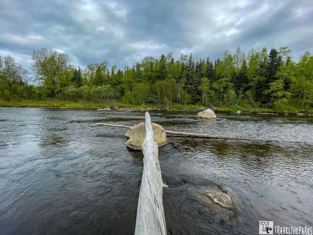 A tranquil river with a log and rocks, bordered by lush green trees and an overcast sky.