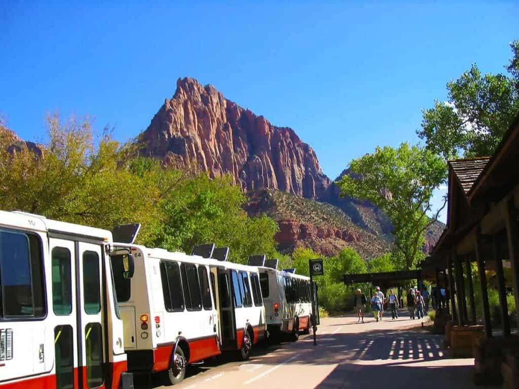 Visitors queue at Zion National Park shuttle stop, with buses and greenery in the background.