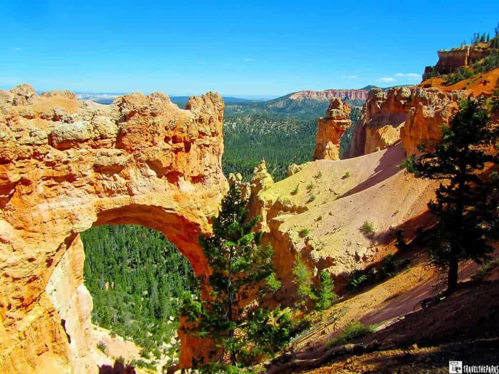 A vibrant orange rock arch in Bryce Canyon, overlooking a green valley and distant hoodoo formations under a clear blue sky.


