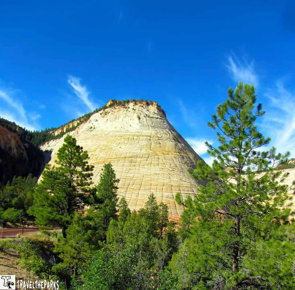 Checkerboard Mesa in Zion National Park with a checkerboard pattern on its surface, surrounded by pine trees under a blue sky.