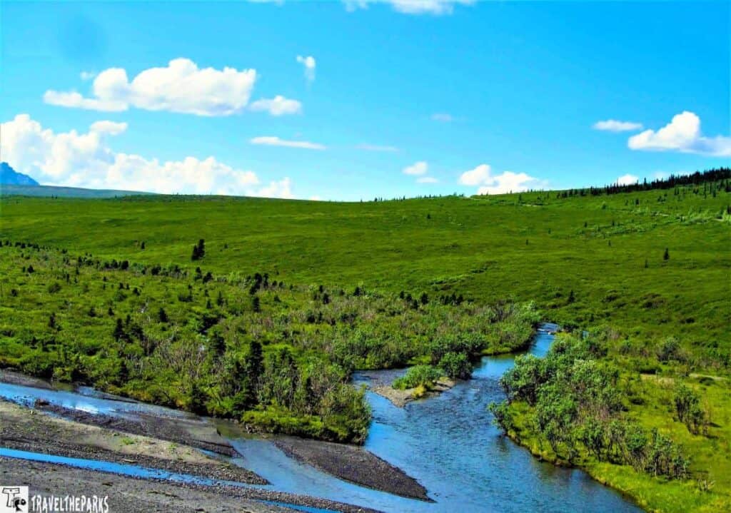A river winding through green hills under a blue sky with clouds in Denali National Park.
