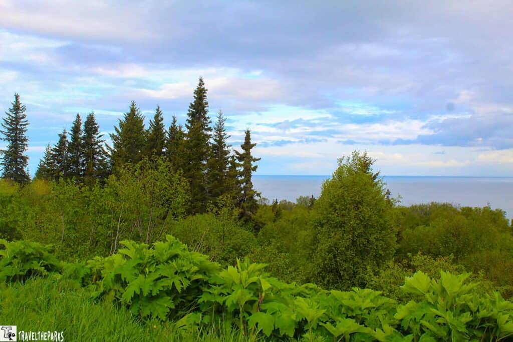 A scenic view on the road to HOmer, Alaska with leafy greenery, tall evergreens, and a body of water under a partly cloudy sky.