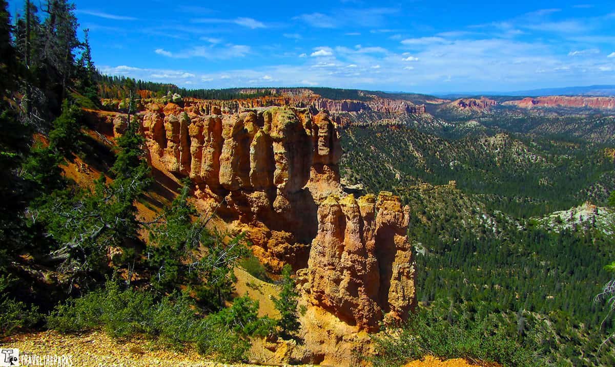 A scenic view of Bryce Canyon featuring tall orange hoodoos against green pine trees, with layered canyons and a blue sky in the background.