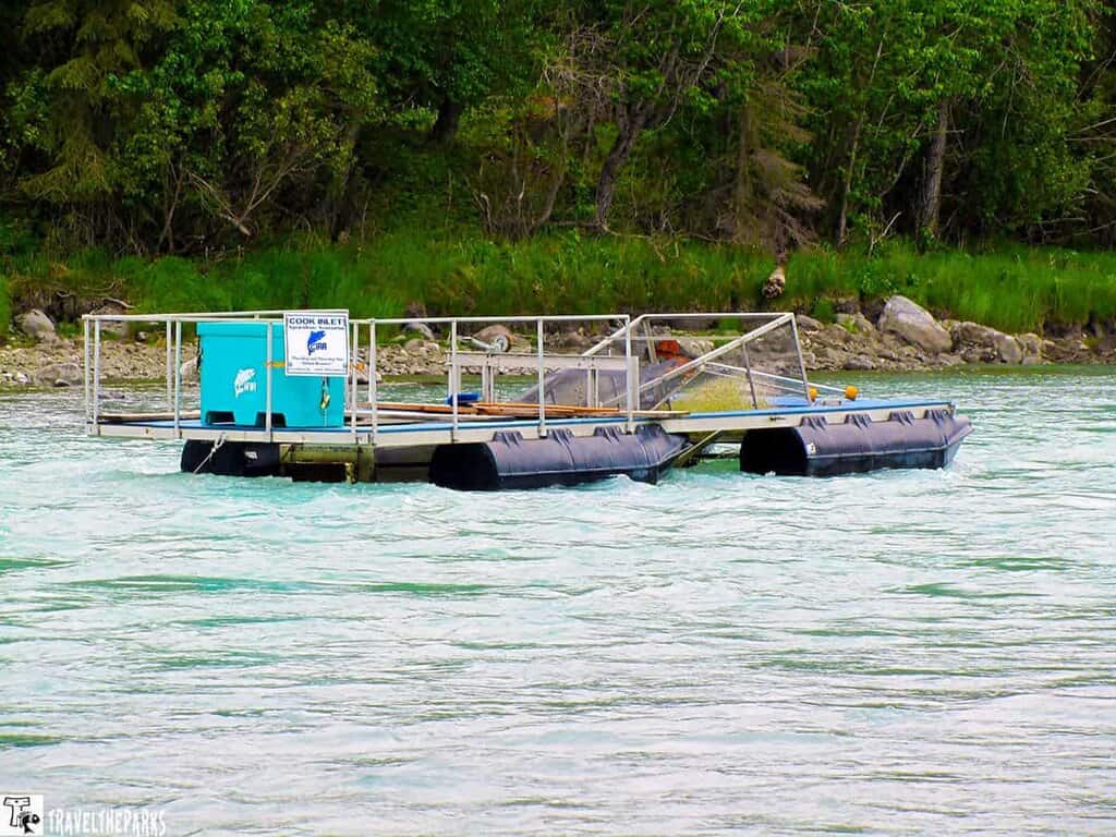 a floating dock on the Kasilof river with a backdrop of lush green trees and a rocky shoreline. The dock has a metal railing and black flotation pontoons. Mounted on the dock is a bright turquoise box with a logo, which appears to be related to fishing or marine activity. A sign on the railing states “Cook Inlet” along with some additional text. The calm river water is a light turquoise color, reflecting the overcast sky.