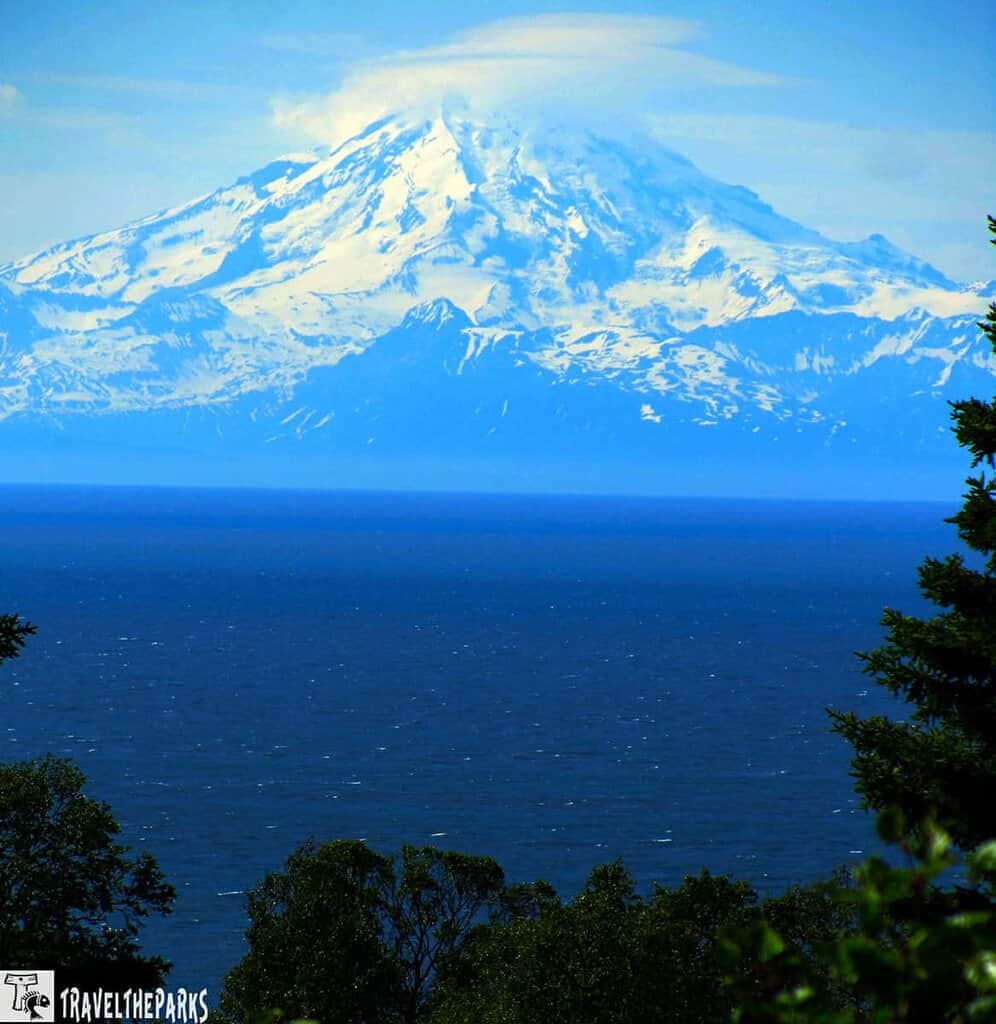 a majestic snowy mountain, likely Mount Iliamna, with a vast, calm expanse of water in the foreground. The mountain's snow-covered peaks glisten under a clear blue sky, with clouds gently draping over its summit. The water beneath is deep blue, slightly ruffled by gentle winds. In the lower part of the image, lush green foliage frames the scene, adding contrast and depth. Sparse trees are visible on both sides, enhancing the natural tranquility of the composition.