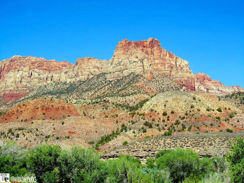 Red rock formations under a clear blue sky with sparse desert vegetation in the foreground.