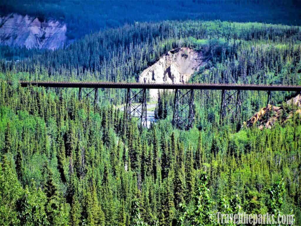 a dense forested area with a tall trestle bridge spanning across the middle. The bridge is supported by a series of metal trusses, and it crosses a river below. The forest consists of numerous evergreen trees, primarily spruce, covering the landscape. The sky is not visible, but the distant background reveals a large rocky hill partially covered by trees. The colors are vivid, with rich greens dominating the scene.