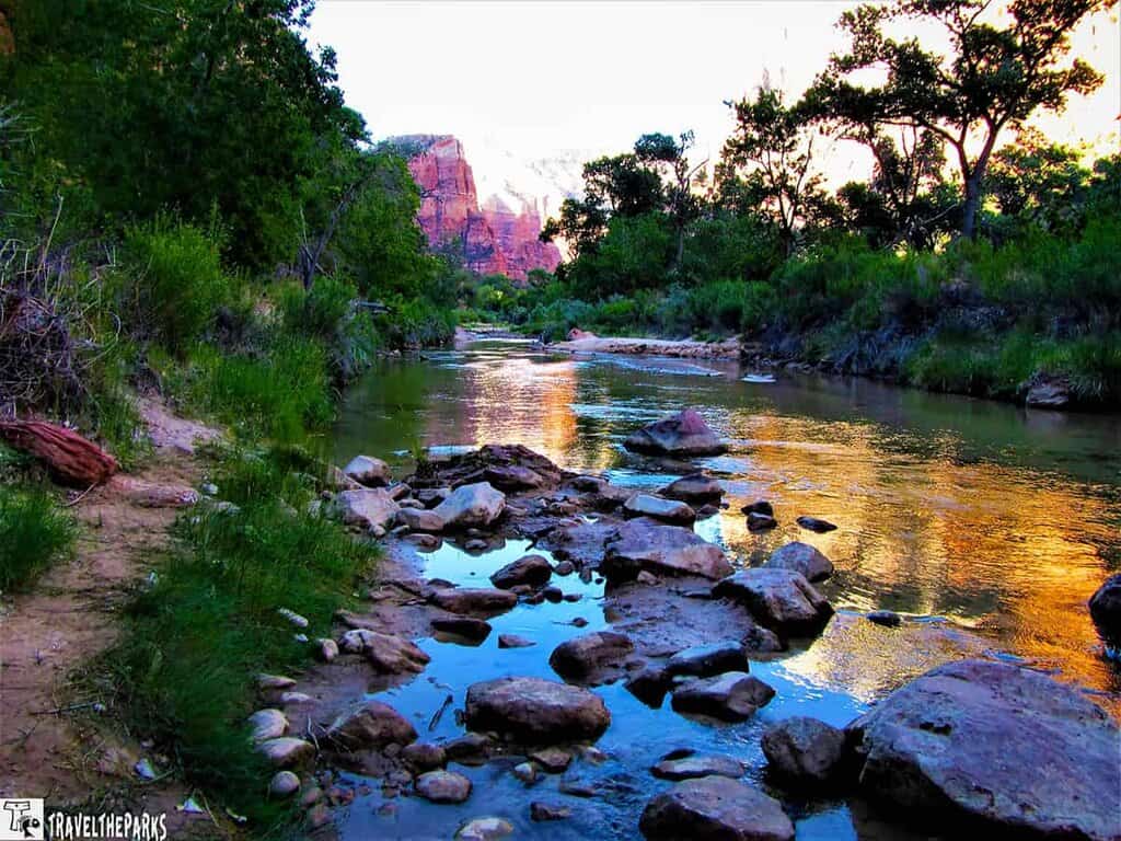Virgin River flowing through Zion canyon lined with trees and illuminated sandstone cliffs.