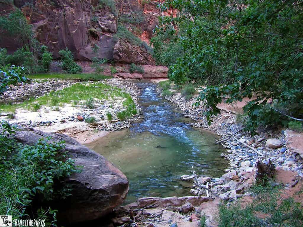 Temple of Sinawava: A shallow Virgin river winding through a rocky canyon with greenery and trees along the bank.