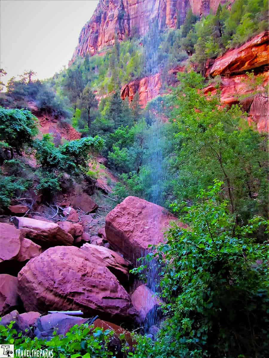 Trail and cliff face at Zion National Park's Emerald Pools, featuring red rock formations and green vegetation.