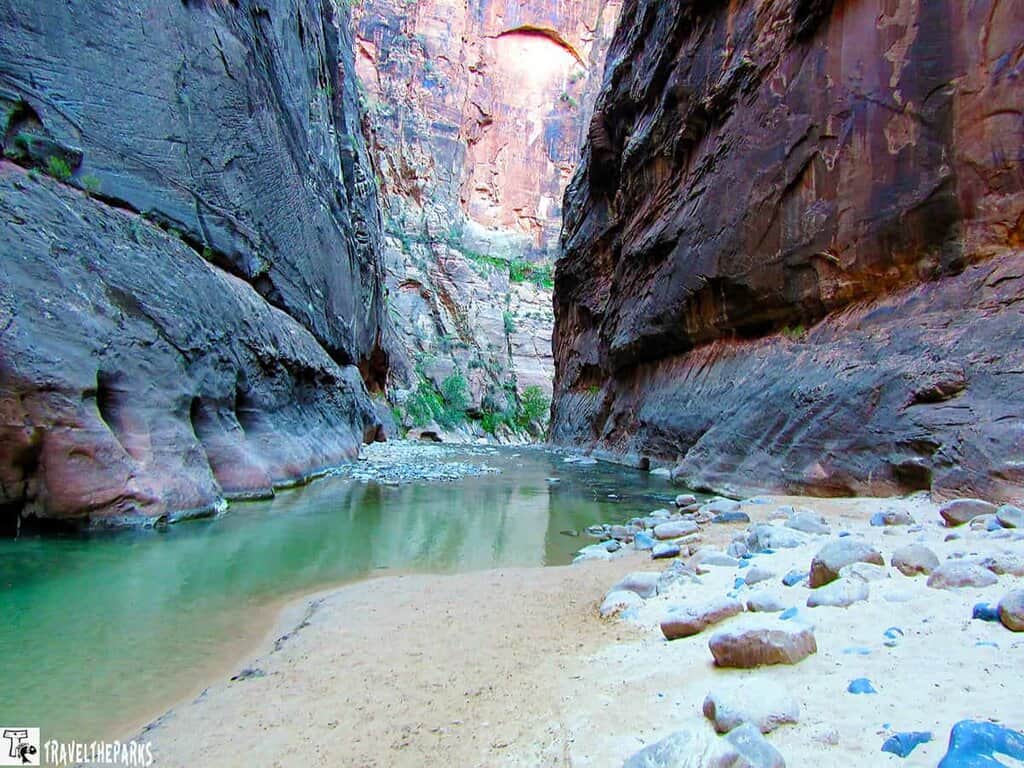 A view of the Narrows in Zion National Park with towering sandstone walls and a shallow Virgin river.