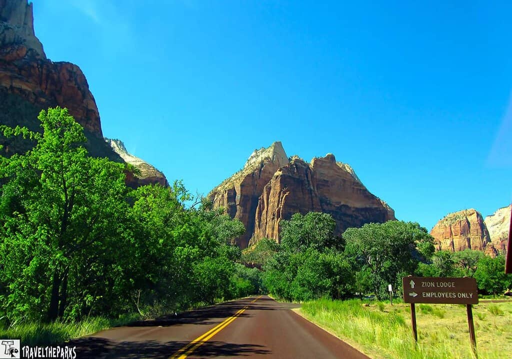 Zion National Park with towering red rock cliffs, green vegetation, and a clear blue sky.
