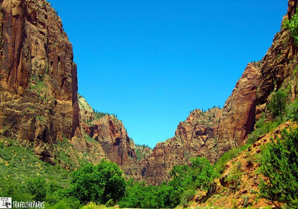 A scene from Zion National Park, specifically a view of Big Bend. Towering reddish-brown sandstone cliffs rise steeply on both sides, framing a narrow valley. The sky above is clear and vivid blue, providing a bright contrast to the rugged terrain. Sparse vegetation, including patches of pine trees and other shrubs, clings to the rock faces. In the foreground, a paved road curves along the base of the cliffs, flanked by lush green trees and low-lying shrubs. The overall atmosphere is one of dramatic natural beauty and rugged wilderness.