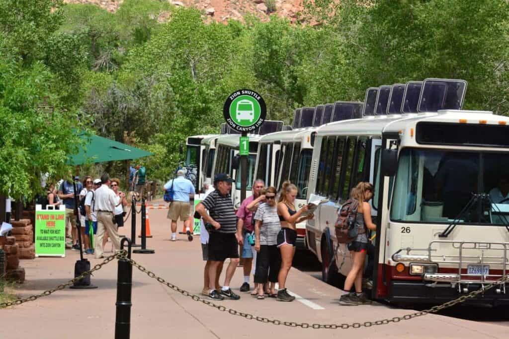 Visitors queue at Zion National Park shuttle stop, with buses and greenery in the background.