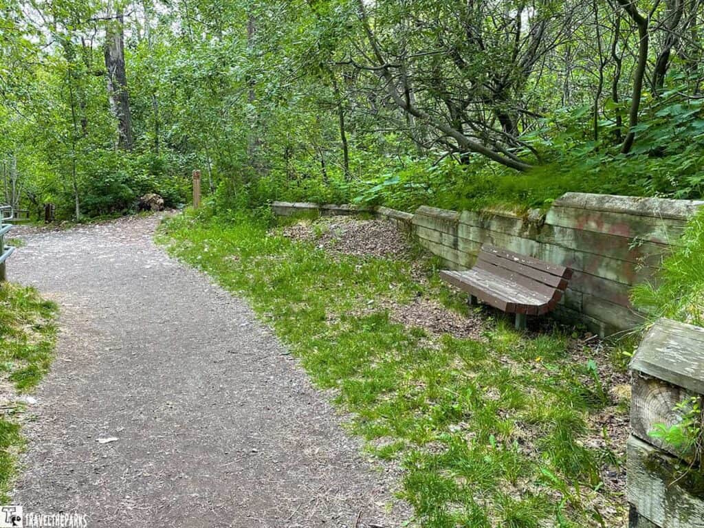 A dirt trail with a wooden bench against a retaining wall in a forested area.

