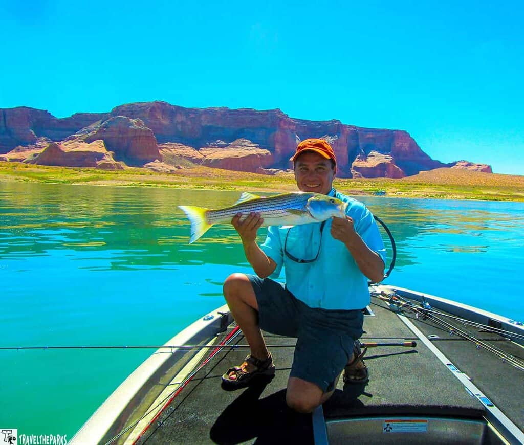 Person kneeling on a boat at Lake Powell, holding a fish with red rock formations in the background.

