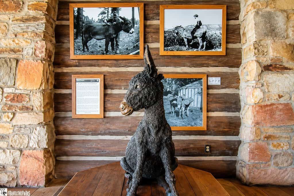 Brighty the Donkey: A bronze donkey statue sits on a wooden floor in front of a log wall. Three vintage black-and-white photos of donkeys are framed on the wall above.