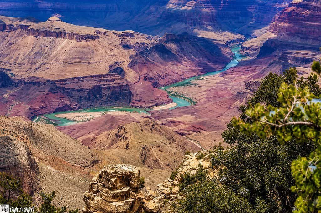Panoramic view of the Grand Canyon’s rugged red-rock cliffs and winding turquoise Colorado River, framed by evergreen branches under a bright sky.