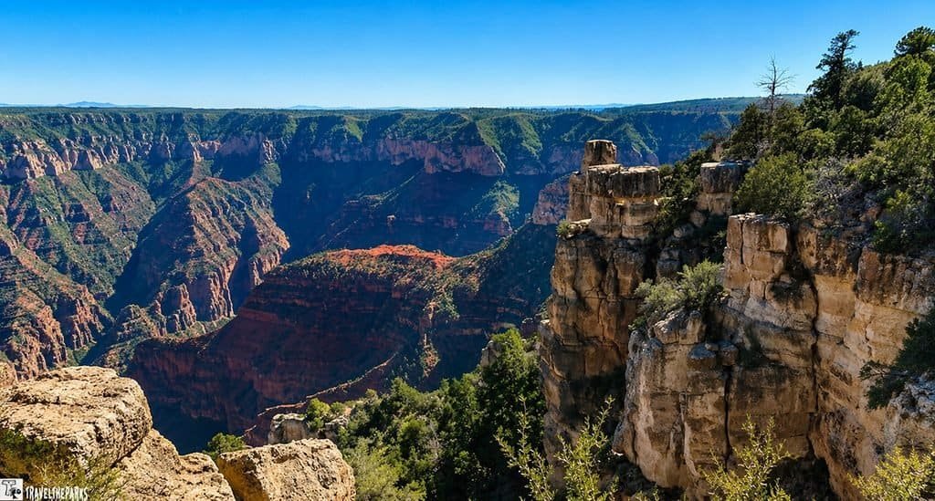 Grand Canyon panorama with rugged red-rock cliffs, deep layered gorge, evergreen trees, and clear blue sky creating an awe-inspiring view.