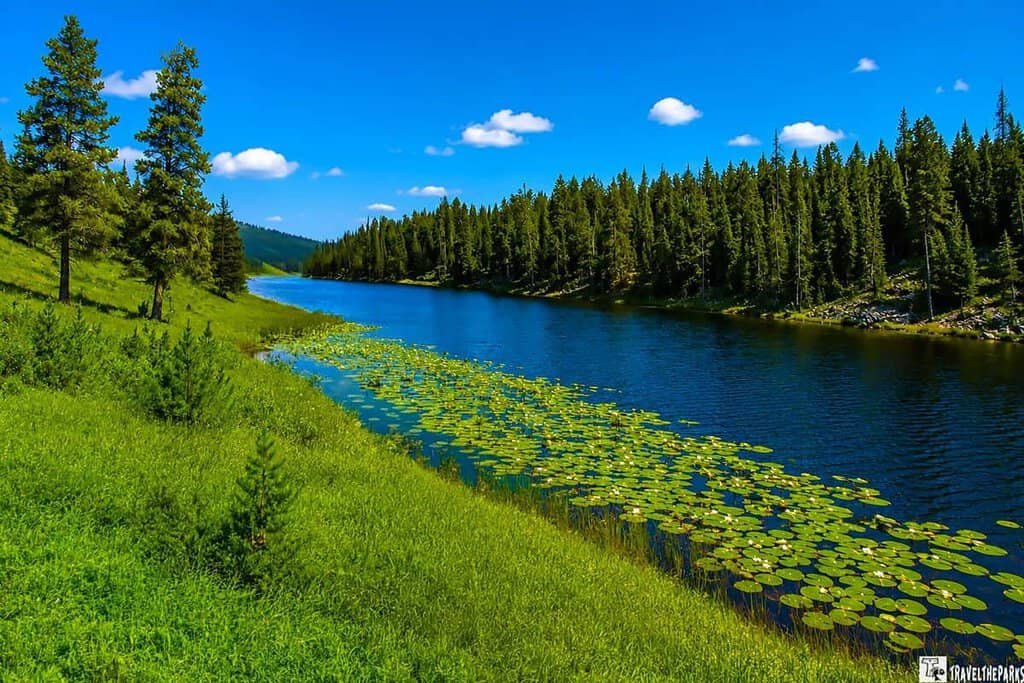 Lost Lake Trail: A tranquil lake reflecting dense evergreen forest with clear sky.