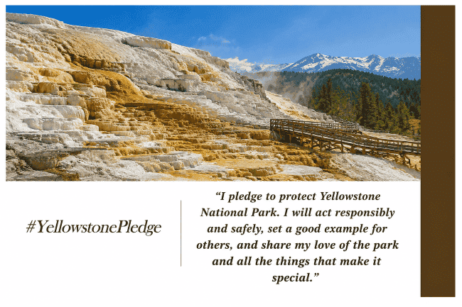 Scenic view of Mammoth Hot Springs in Yellowstone National Park, featuring terraced mineral formations and a wooden boardwalk. A pledge to protect the park is displayed on the right.
Transcribed Text:
“I pledge to protect Yellowstone National Park. I will act responsibly and safely, set a good example for others, and share my love of the park and all the things that make it special.”
#YellowstonePledge