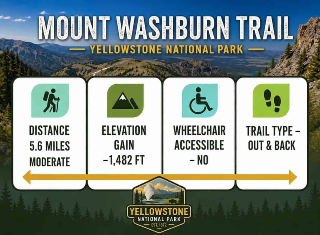 a graphic overview of the Mount Washburn Trail in Yellowstone National Park. It features a dark green background with a white and yellow text overlay. The title "MOUNT WASHBURN TRAIL" is prominently displayed at the top, followed by the name of the park in yellow. The graphic is divided into four sections, each illustrated with colored icons that represent trail information:

Distance: A hiker icon indicates a distance of 5.6 miles, marked as “Moderate.”
Elevation Gain: A mountain icon shows an elevation gain of -1,482 feet.
Duration: A stopwatch icon specifies a duration of 3 to 5 hours.
Trail Type: A footprint icon notes that the trail is an "Out & Back" type.
At the bottom, there is a logo for Yellowstone National Park, featuring a scenic mountain and river illustration.