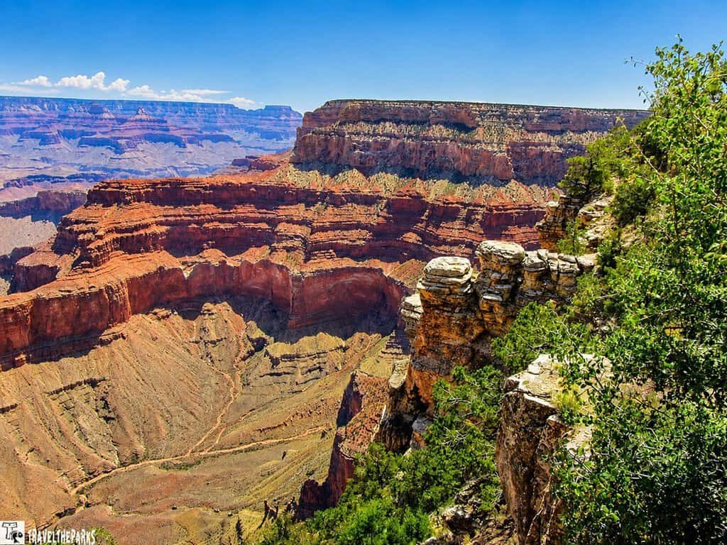 Pima Point View: Sunny view of the Grand Canyon with layered red and orange rock formations. Green shrubs frame the foreground, creating a sense of depth and vastness.