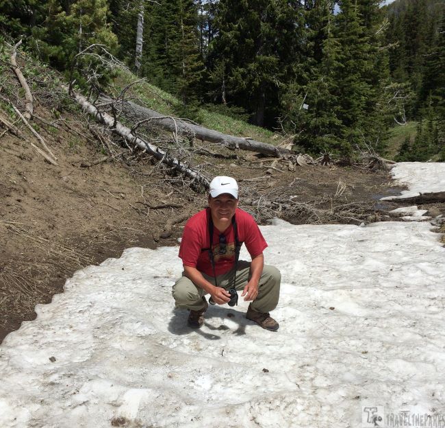 Person squatting on snow in a forest with evergreen trees in the background.
Dunraven Pass, Yellowstone National Park