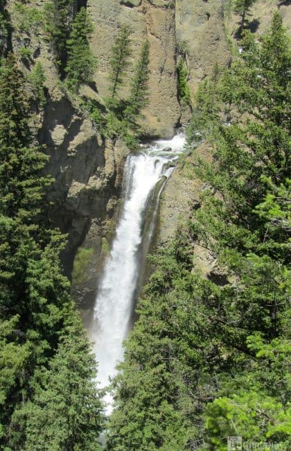 Tower Fall, Waterfall cascading down a rocky cliff surrounded by green trees. Yellowstone National Park