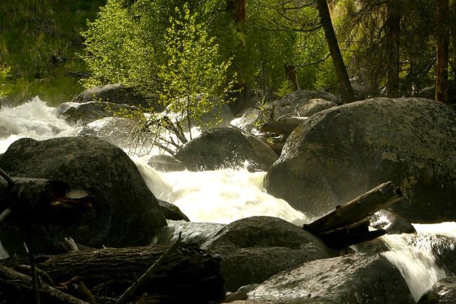 Boulders and rocks in tower Creek Yellowstone NP