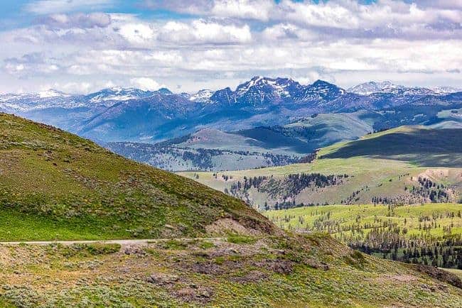 Dunraven Pass Tower Road Grand Loop
