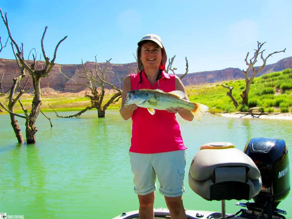 Person holding a large fish on a boat at Lake Powell, surrounded by water and rocky terrain.

