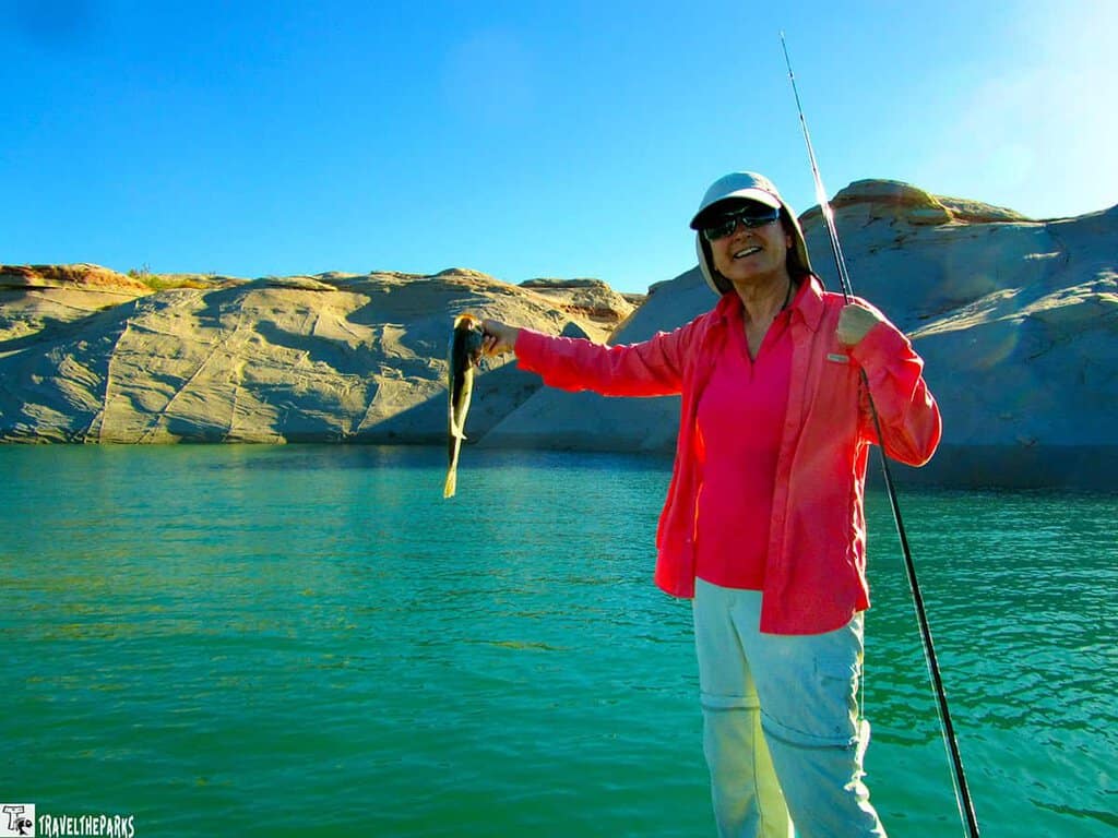 Person holding a fish on a boat in Lake Powell with sandstone cliffs and clear blue sky in the background.

