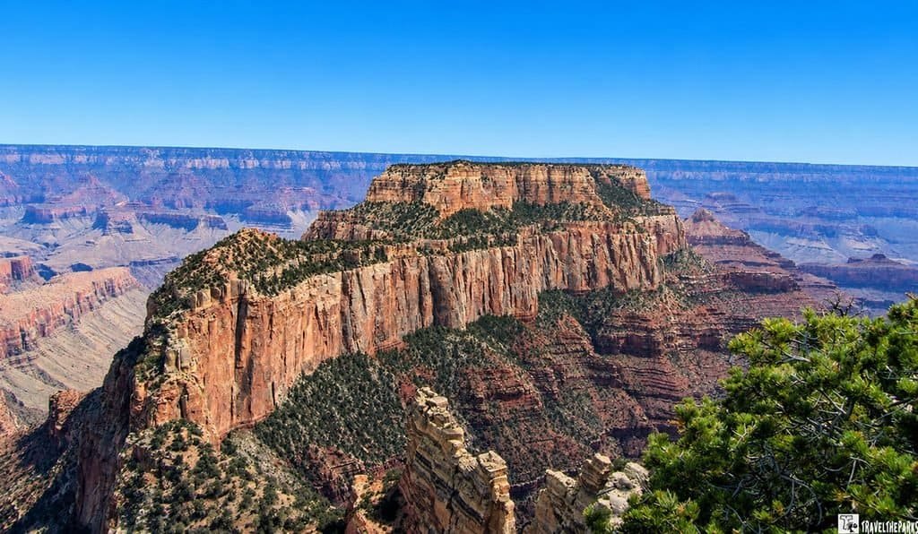 Wonton's Throne: Panoramic Grand Canyon view with sunlit red-rock cliffs, layered canyon walls, green pine trees, and a vivid blue sky creating an expansive mood.