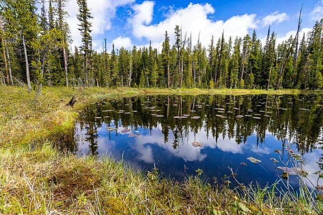 Lost Lake Trail