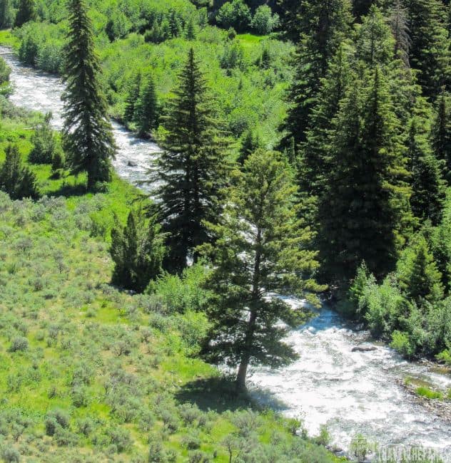 River Views Yellowstone National Park