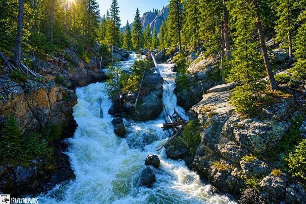 Adams Falls, RMNP: A waterfall flowing through a rocky gorge with surrounding trees and sunlight