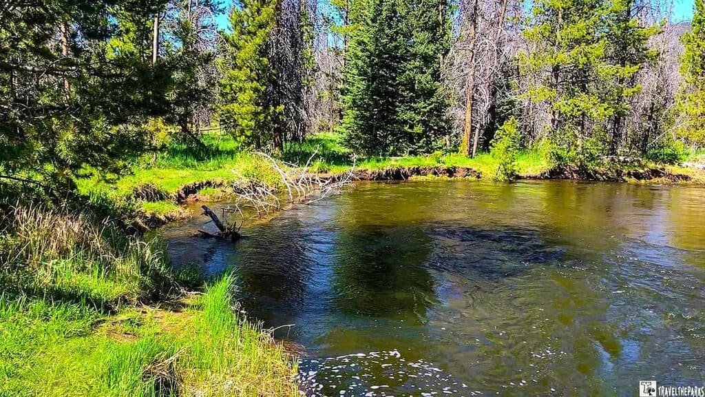 A Colorado river meanders through Rocky Mountain National Park, surrounded by vibrant trees and towering mountains near Coyote Valley Trailhead-Trail Ridge Road