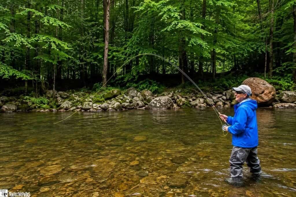 A person in a blue jacket and waders is fly fishing in a clear stream surrounded by lush green trees and rocks.

