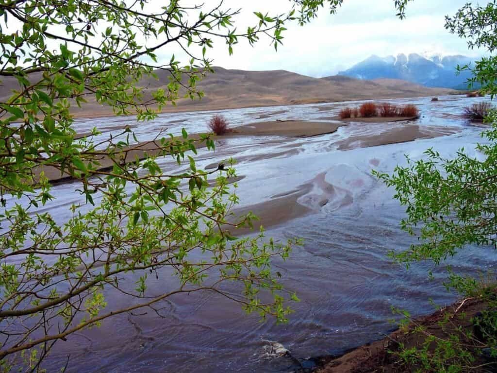 A serene view of Medona Creek winding through sandy terrain, framed by green foliage, with distant snow-capped mountains in the background.