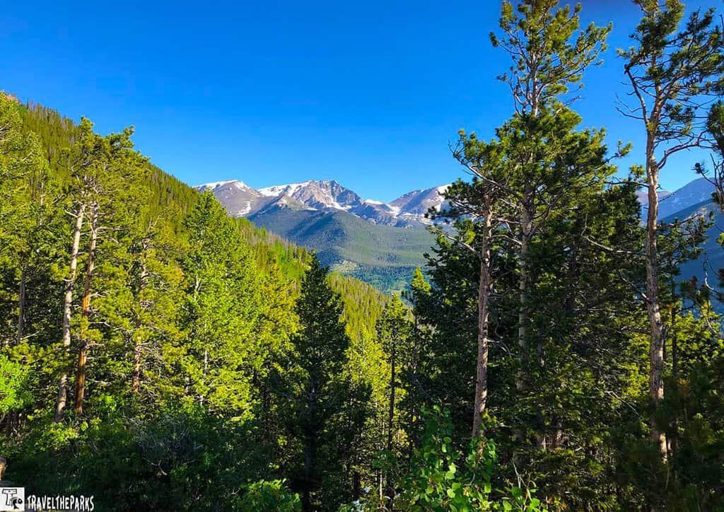 Scenic view of the Rocky Mountains from a hiking trail, showcasing majestic peaks and lush greenery off the Trail Ridge Road