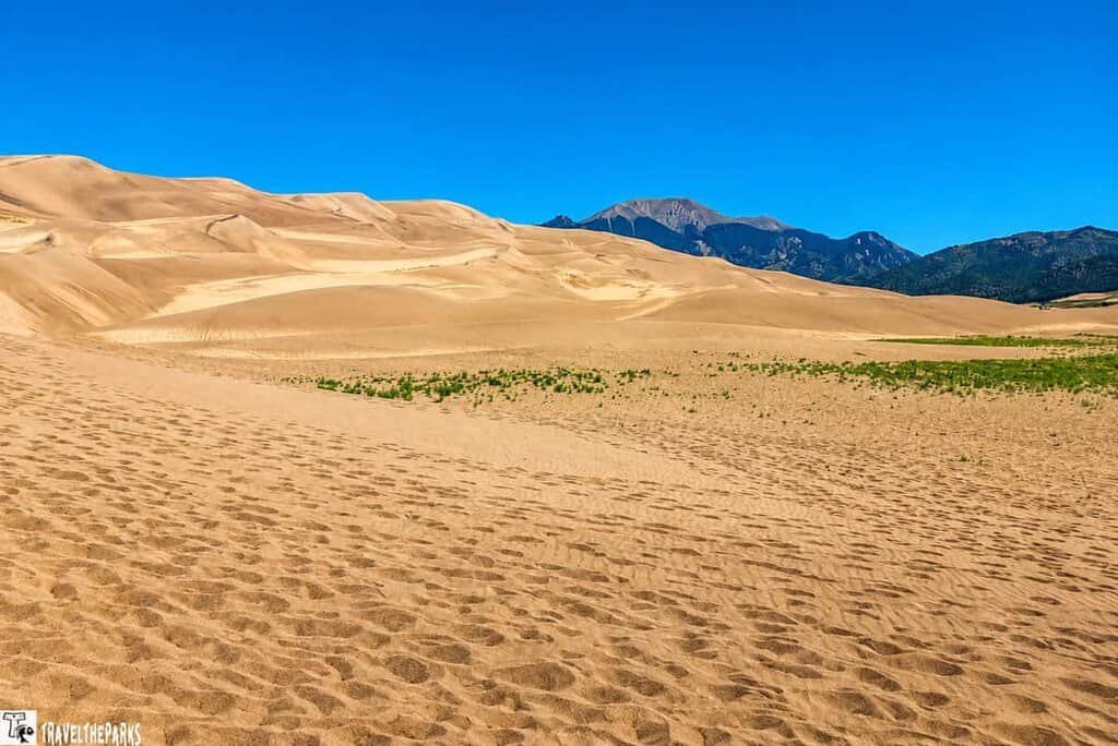 A vast desert landscape with rolling sand dunes under a clear blue sky. In the distance, there are mountainous features. Patches of sparse green vegetation sporadically dot the sandy terrain in the foreground.