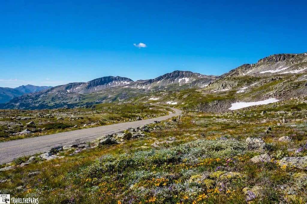 Trail Ridge Road scenic view of the Rocky Mountains from a hillside, showcasing majestic peaks and lush greenery in the foreground.
