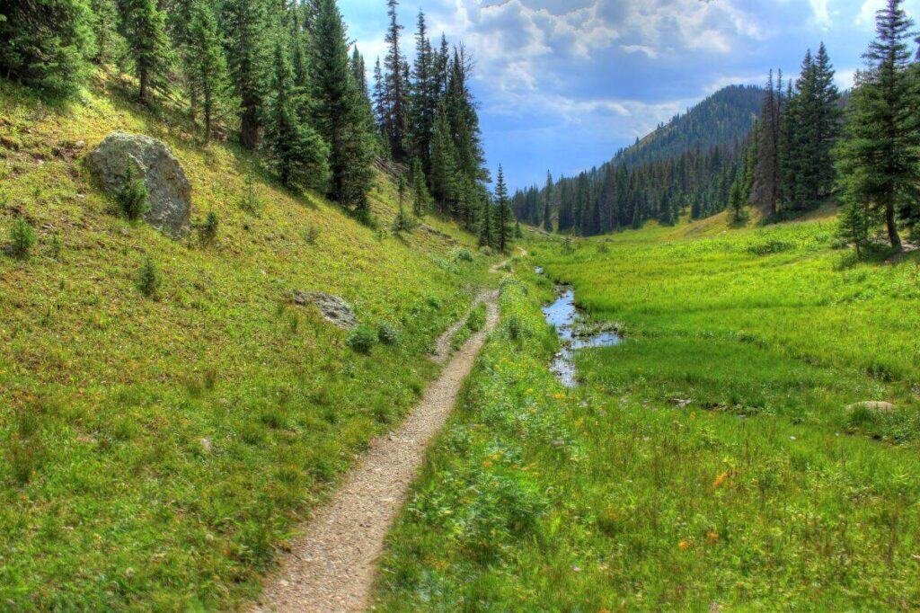 A green valley with a dirt path, evergreen trees, and a small stream under a blue sky with clouds.