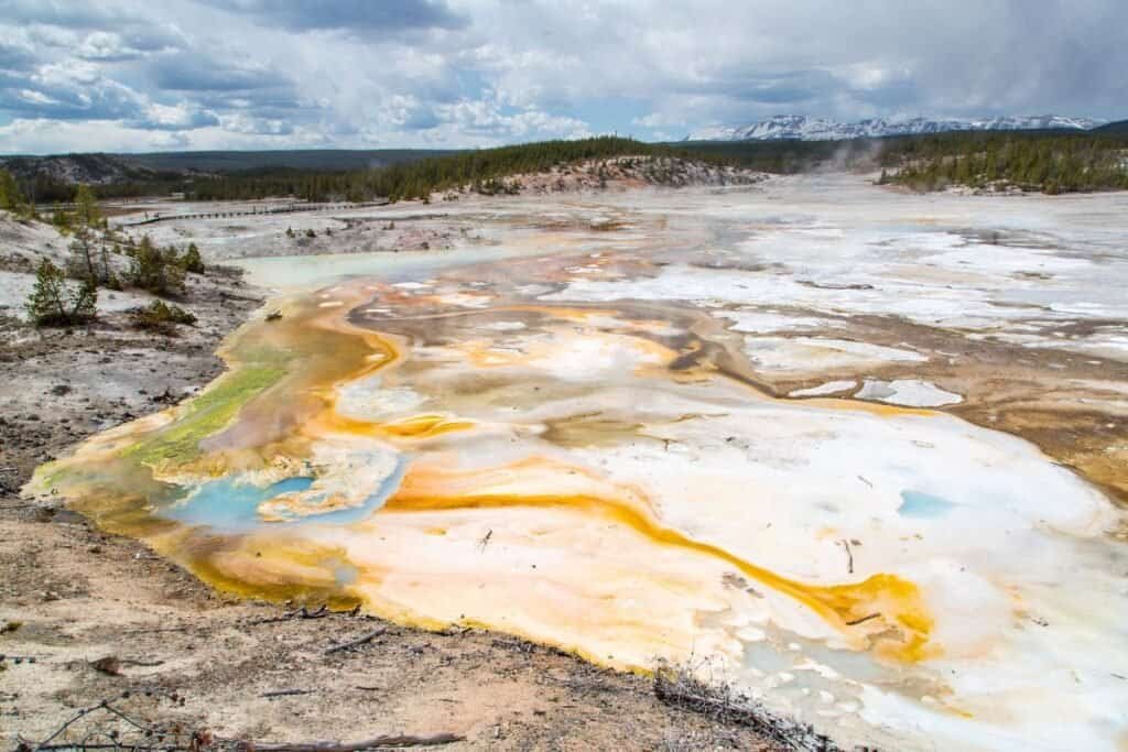 A colorful geothermal landscape in Norris Geyser Basin, featuring vibrant mineral deposits in yellow, blue, and white, surrounded by rocky terrain and sparse vegetation under a cloudy sky.