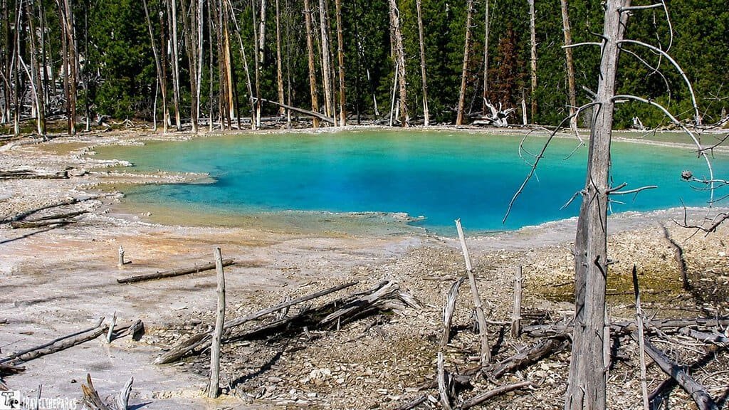 Cistern-Spring-: A vibrant hot spring with clear blue and green water, surrounded by a rocky shoreline and sparse, leafless trees, evoking a serene and mystical vibe.