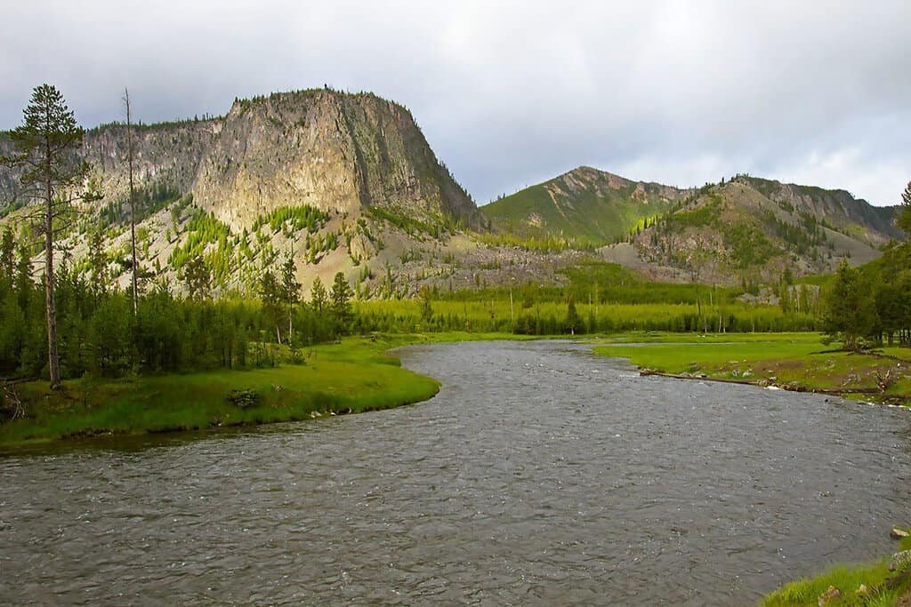 A scenic view of the Madison River in Yellowstone, surrounded by mountains and lush greenery, with an overcast sky above.
