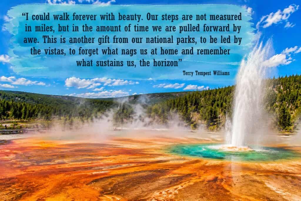 A colorful geothermal landscape in Yellowstone National Park features a turquoise hot spring surrounded by orange mineral deposits, with a geyser erupting in the background under a blue sky.
Transcribed Text:
"I could walk forever with beauty. Our steps are not measured in miles, but in the amount of time we are pulled forward by awe. This is another gift from our national parks, to be led by the vistas, to forget what nags us at home and remember what sustains us, the horizon"
Terry Tempest Williams