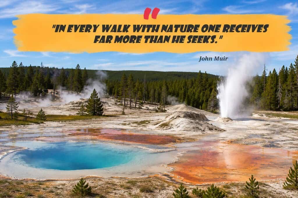 "'In every walk with nature one receives far more than he seeks.' - John Muir"