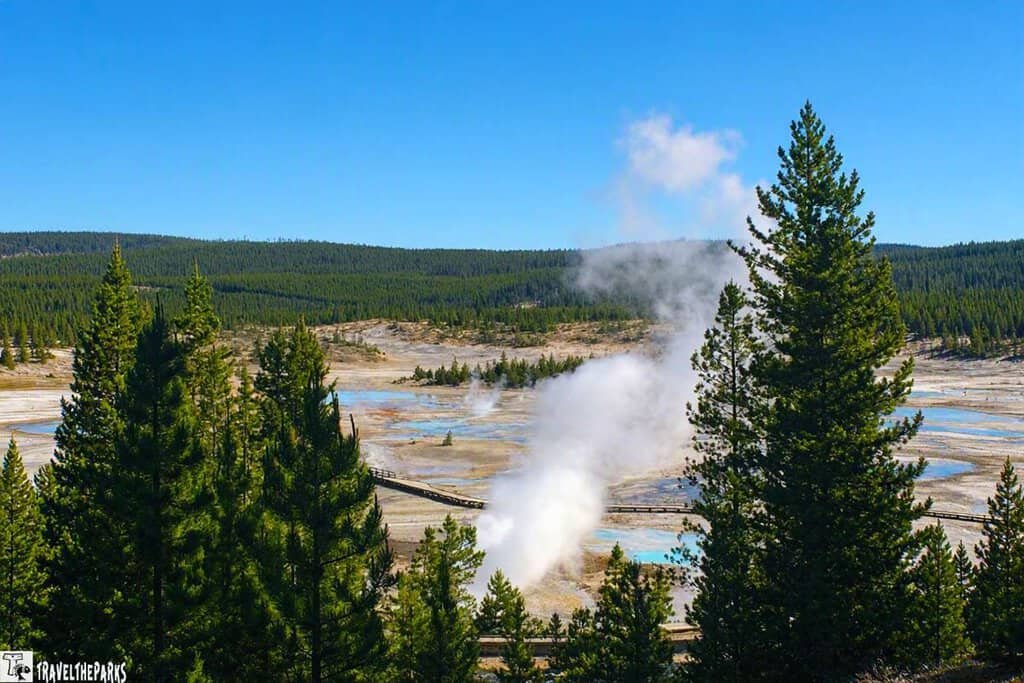Porcelain Basin View: Steam rises from geysers at Yellowstone National Park on a clear day. Pine trees frame the scene, with a vast forested landscape in the background.